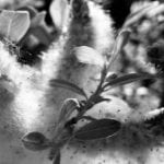 Screen Shot 2021-06-07 at 1.44 1