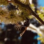 Screen Shot 2021-06-07 at 1.44 2