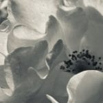 Screen Shot 2021-06-07 at 1.45 4